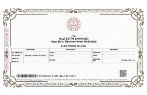 Halk Eğitim Kurs Sertifikaları Artık e-Devlet’te Yeni Şabonuyla İndirilebilecek.