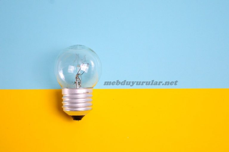 MEB, Patent Tescil Başvurusunda Rekor Kırdı.