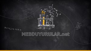 YEĞİTEK Okul Sorumlusu İle İlgili Görüş Yazısı